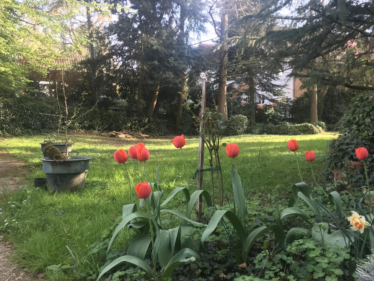 Hotel Roederhof Baden-Baden Dış mekan fotoğraf
